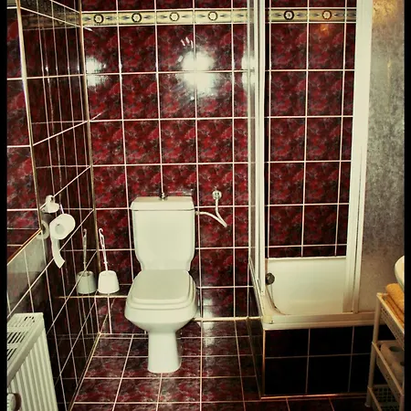 לינה וארוחת בוקר Dworek Osiecki 3*